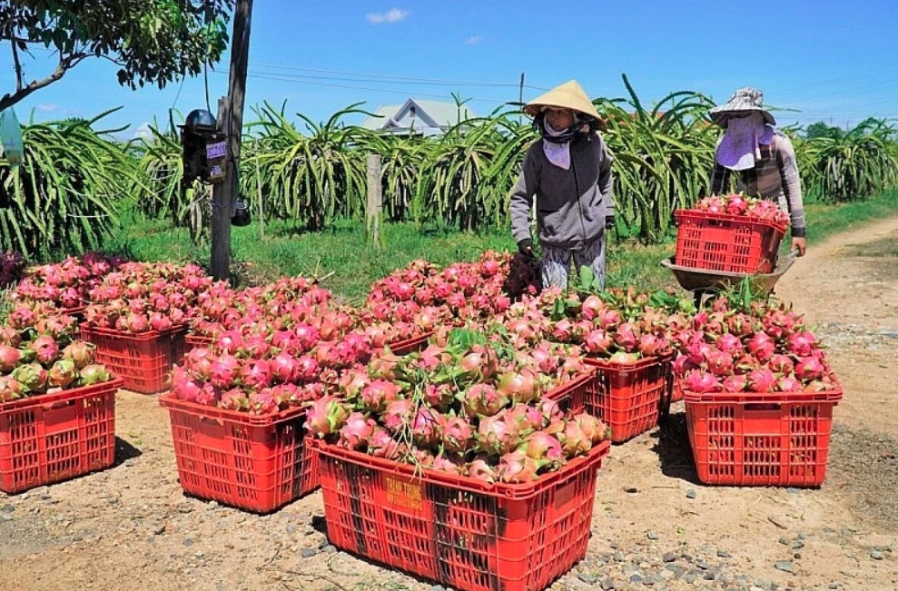 Vietnam-China trade turnover hits nearly US$130.8 billion